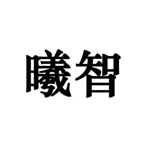 謝春梅與公司 以信息技術(shù)咨詢?yōu)楹诵?，引領(lǐng)創(chuàng)新服務(wù)未來