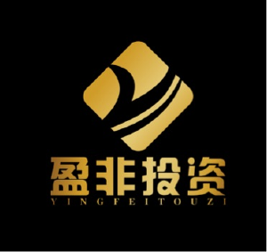 重慶市盈非投資咨詢有限責任公司 專業投資咨詢服務的領航者
