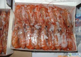 牡丹蝦市場行情與生產(chǎn)廠家信息匯總