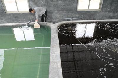 渤海1號助力濱州對蝦從外購到自主培育，魯北最大水產(chǎn)基地加速成型